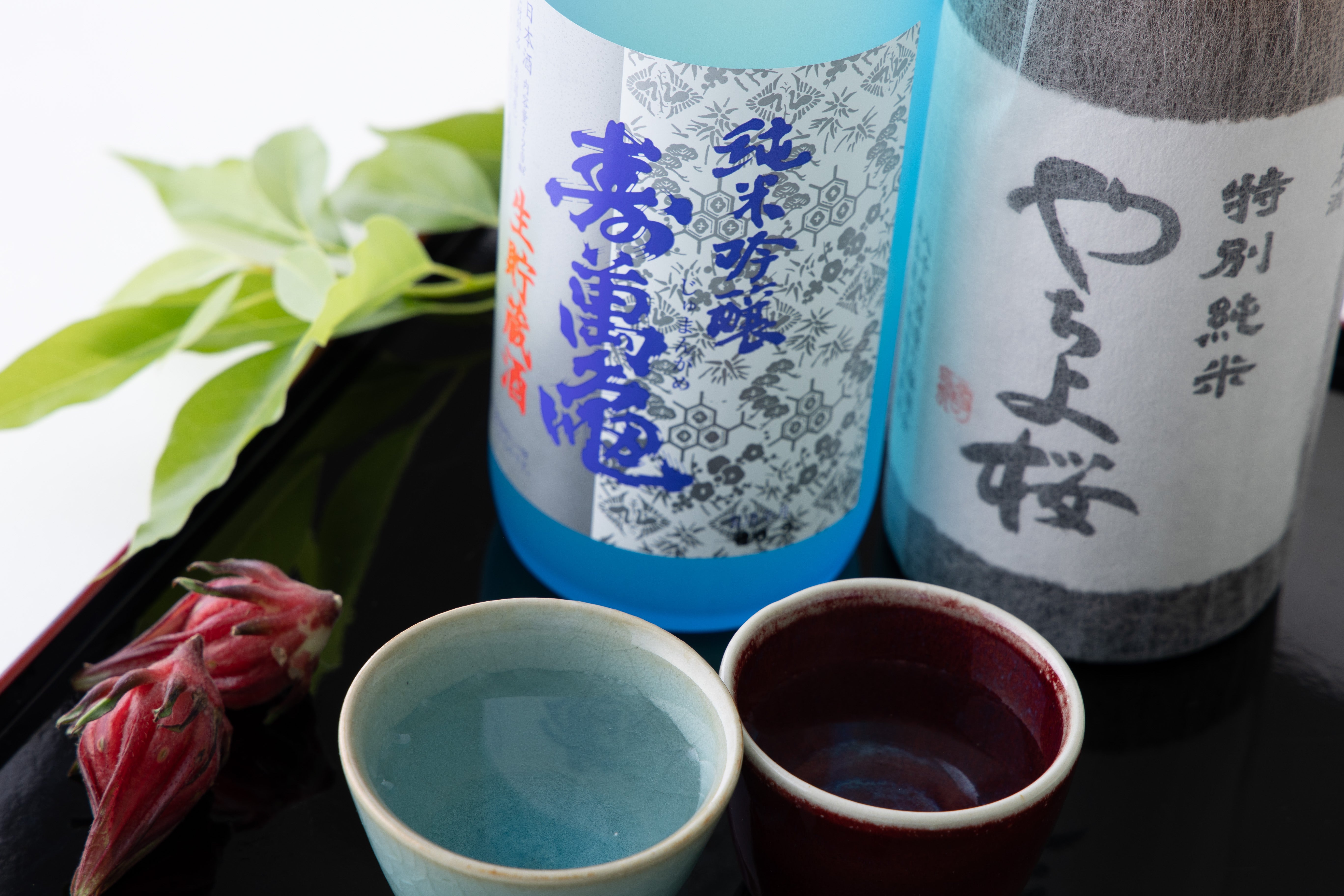 千葉県産米 Aセット｜ CHIBA-SAKE（千葉酒）